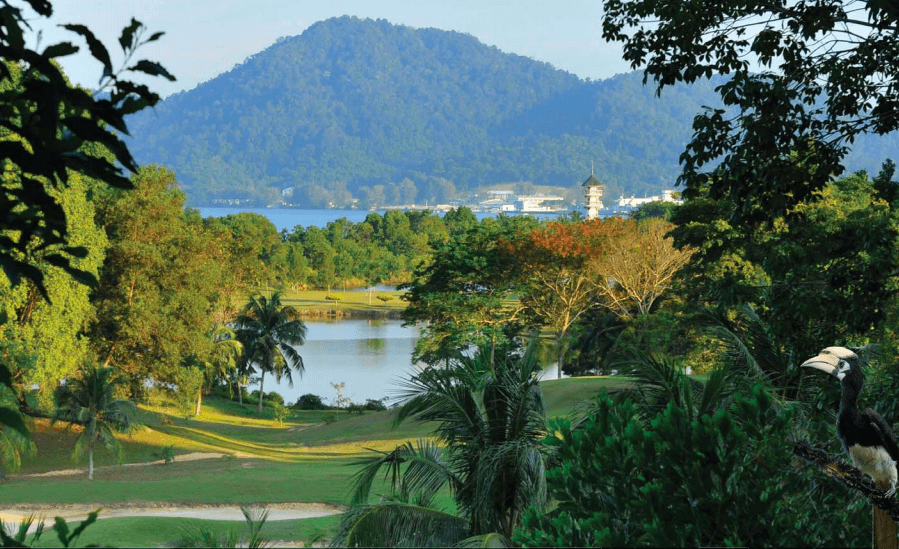 damai laut large