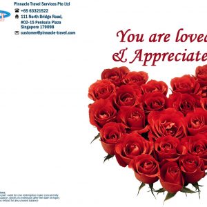 appreciation 3
