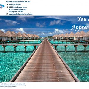 appreciation 6