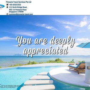 appreciation 7