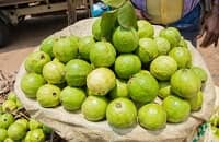 guava thai fruit